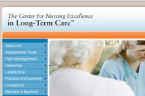 The Center for Nursing Excellence in Long Term Care